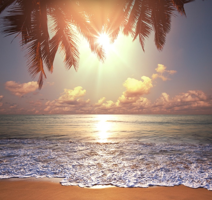 Fototapete Strand und tropisches Meer