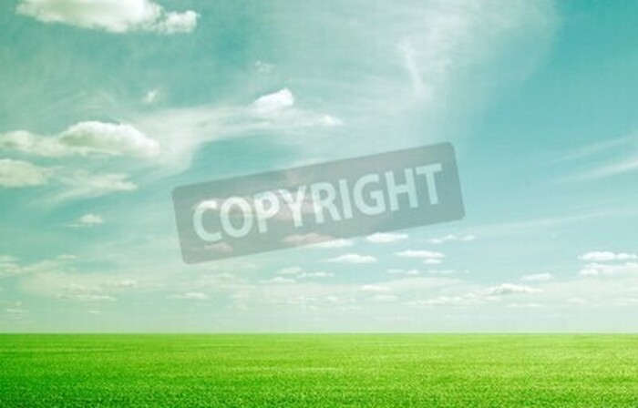 Fototapete Himmel über grünem Gras