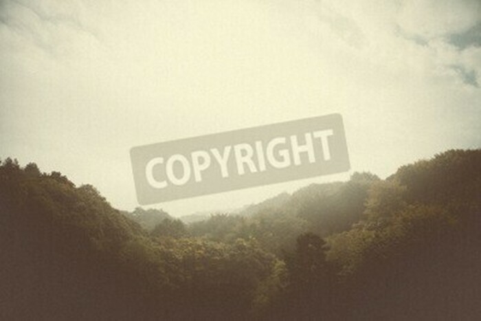 Fototapete Bewaldete berge vintage