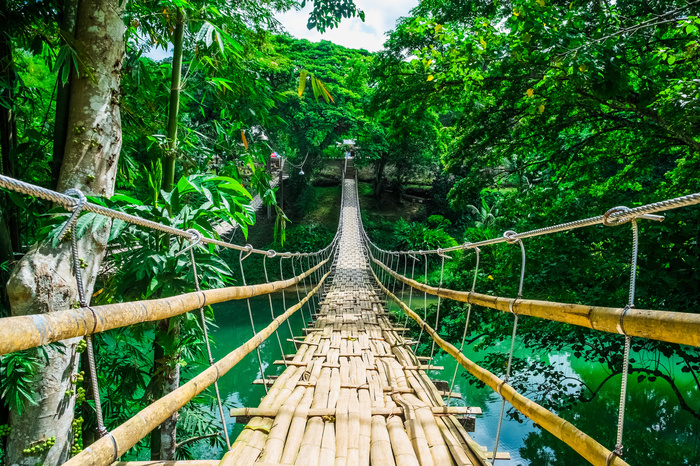 Fototapete Hängebrücke im tropischen Wald