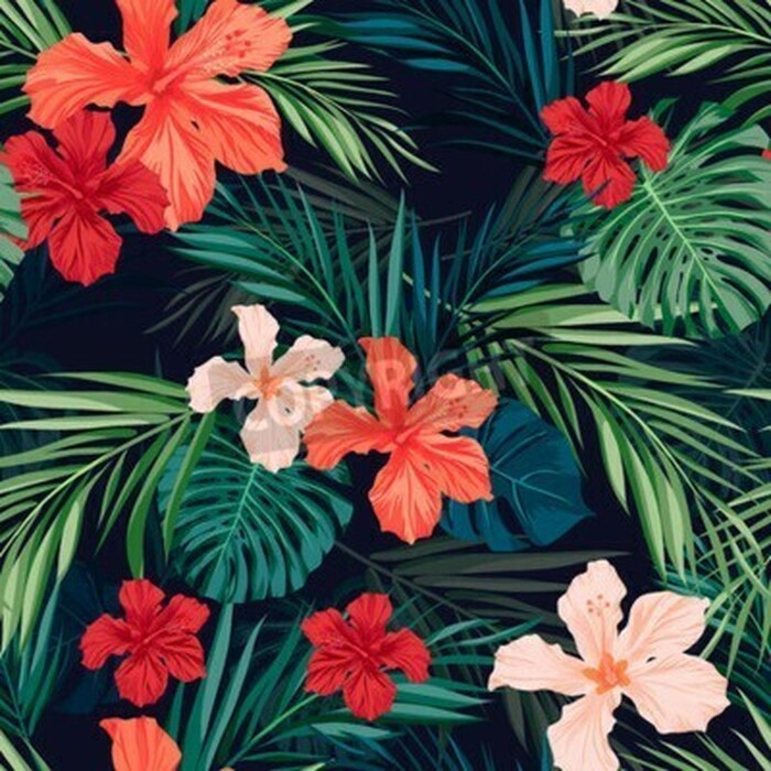 Fototapete Natur aus Hawaii