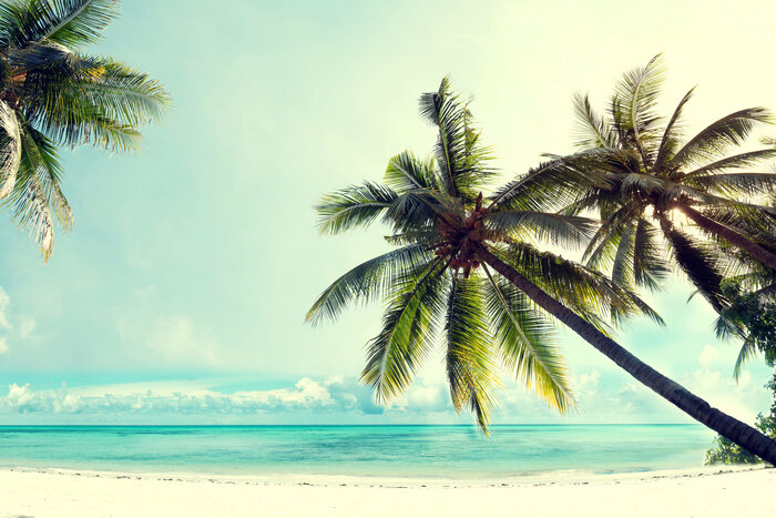 Fototapete Palmen an himmlischem Strand