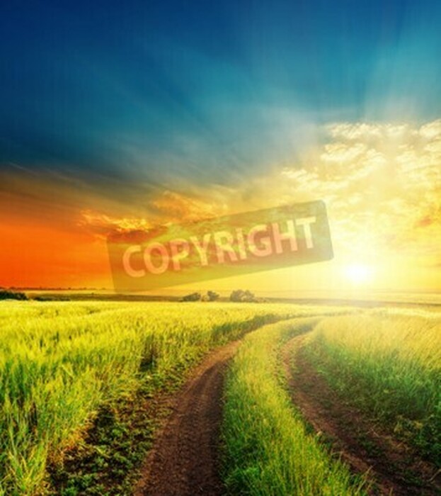 Fototapete Himmel über grünem Feld