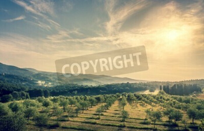 Fototapete Himmel über Toskana