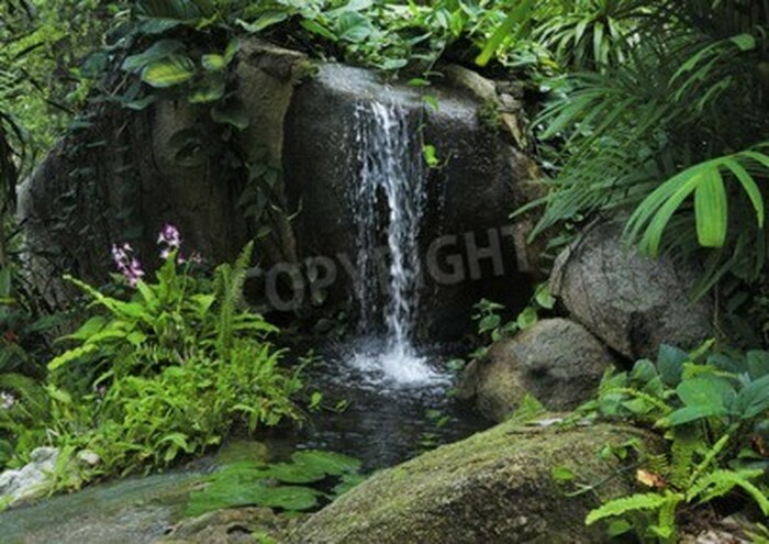 Fototapete Bach im Dschungel