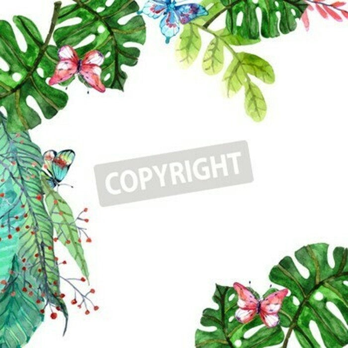 Fototapete Natur vor weißem Hintergrund