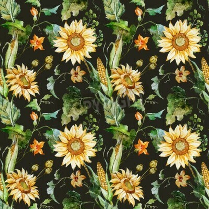 Bild Mais und Sonnenblumen auf schwarzem Hintergrund