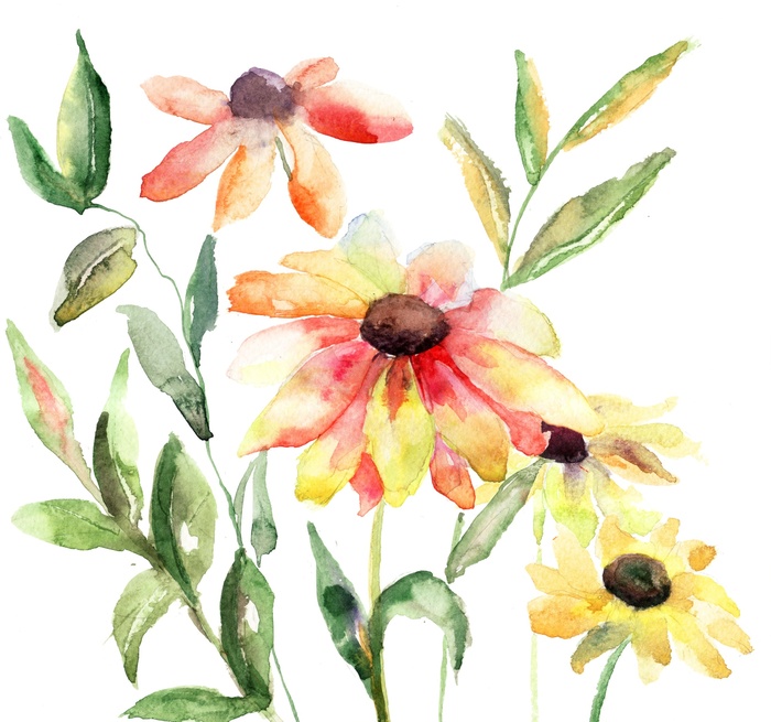 Fototapete Blumen gemalt