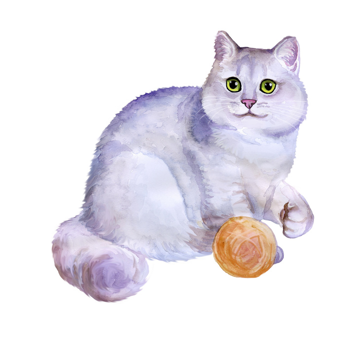 Bild Gemalte Katze mit Garn