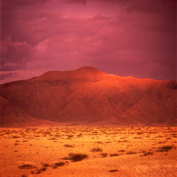 Paysage dans les tons d'orange