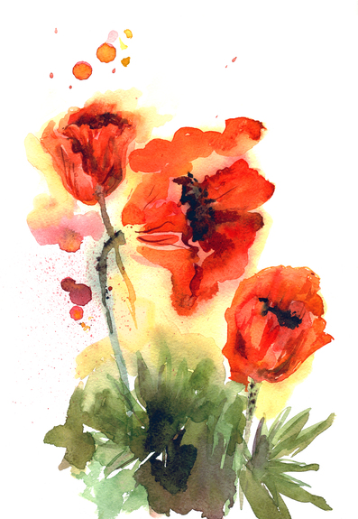 Coquelicots peints à l'aquarelle