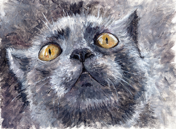 Chat gris peint