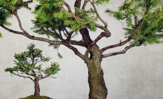 Arbres de style vintage