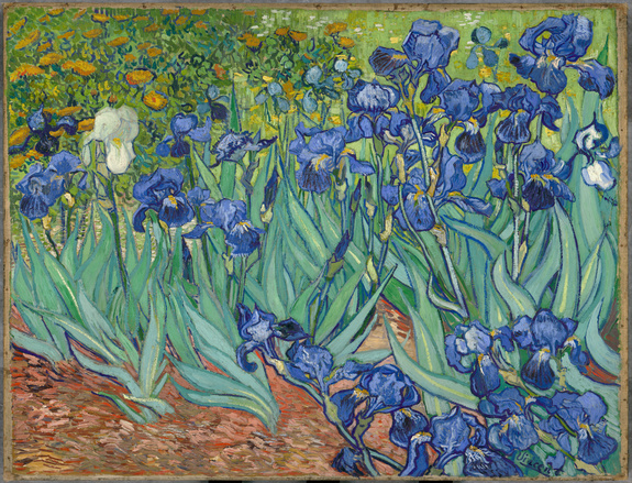 Vincent van gogh iris