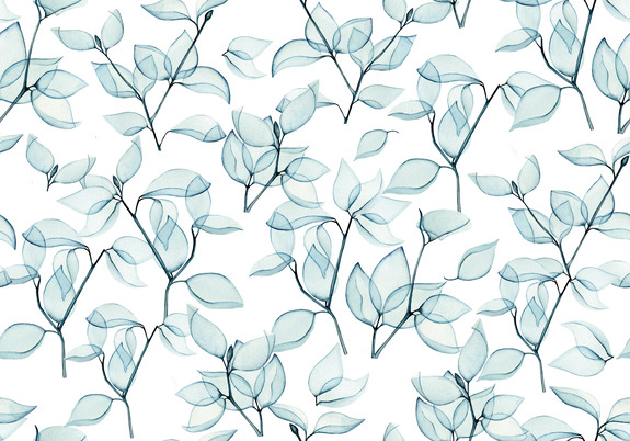 Motif feuilles d'eucalyptus