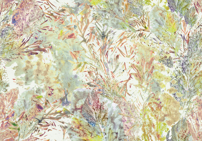 La nature au printemps