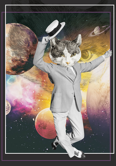 Chat dans l'univers