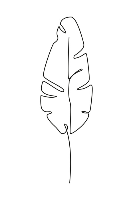 Feuille de bananier