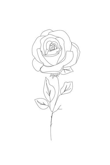 Rose minimaliste