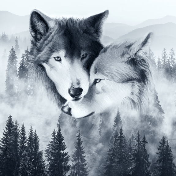 Wolf,drawing,painting,wolf wallpaper,wallpaper on the wall