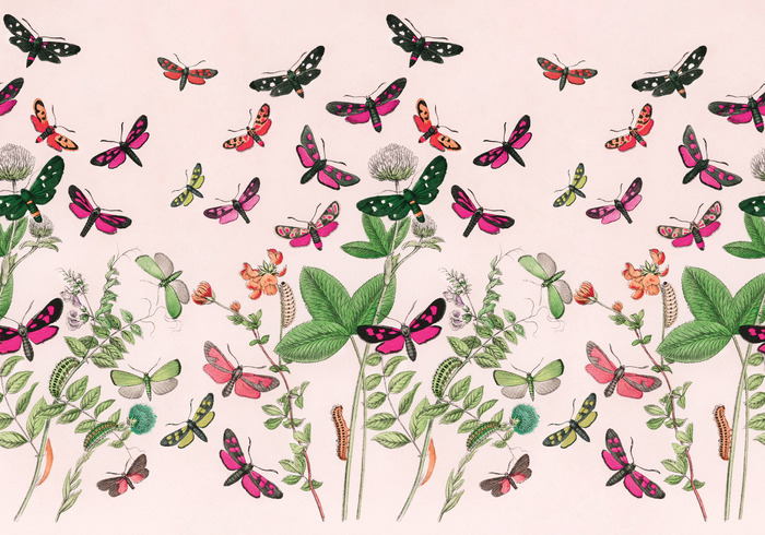 Papillons colorés au milieu de feuilles vertes