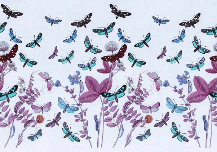 Les couleurs printanières de la flore et de la faune