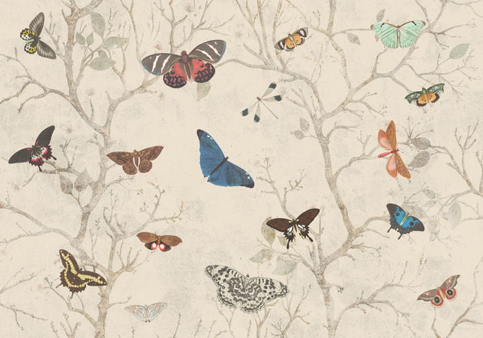 Papillons au milieu des arbres