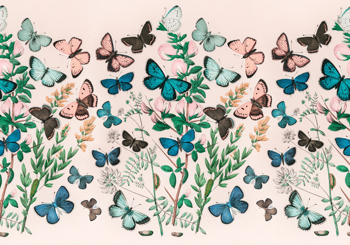 Papillons et branches vertes