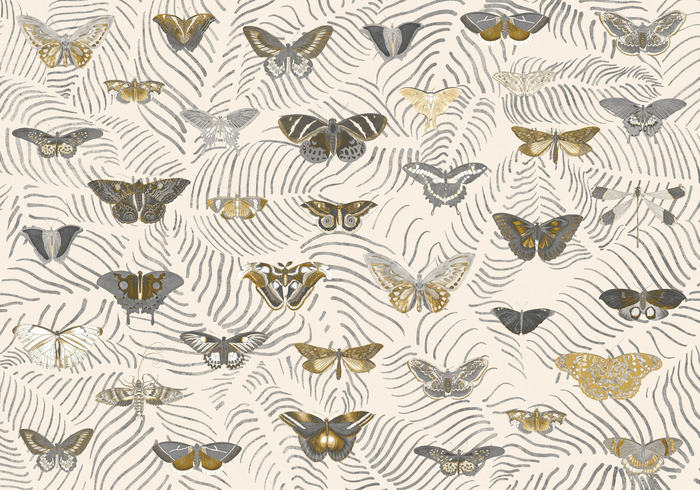 Papillons et style boho