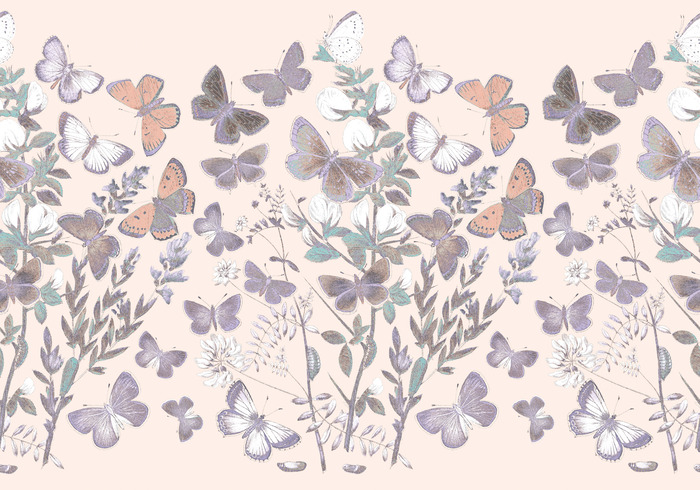 Les premiers signes du printemps