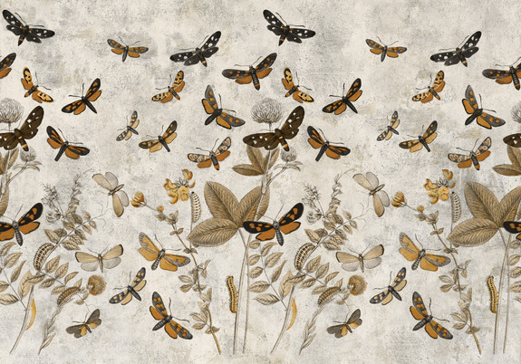 Migration de papillons