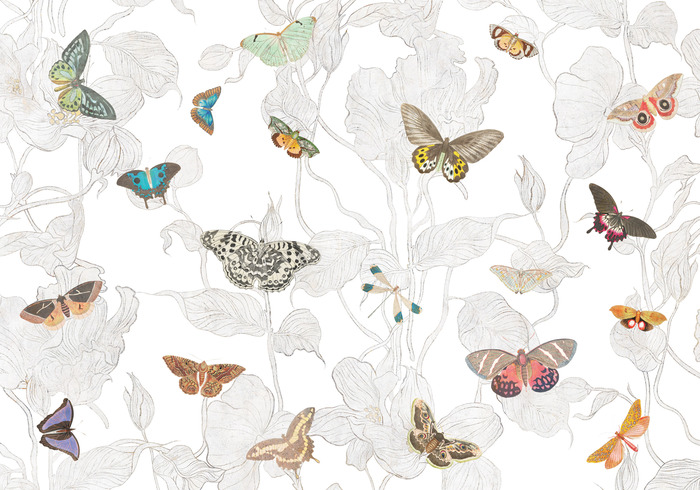 Feuilles de printemps et ombres de papillons