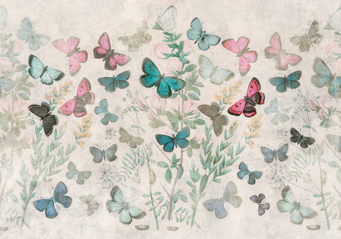 Des papillons en plein travail