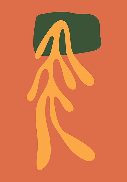 Feuille sur fond orange