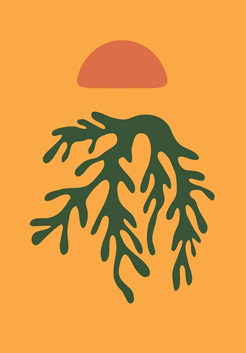 Feuille verte et lever de soleil en arrière-plan