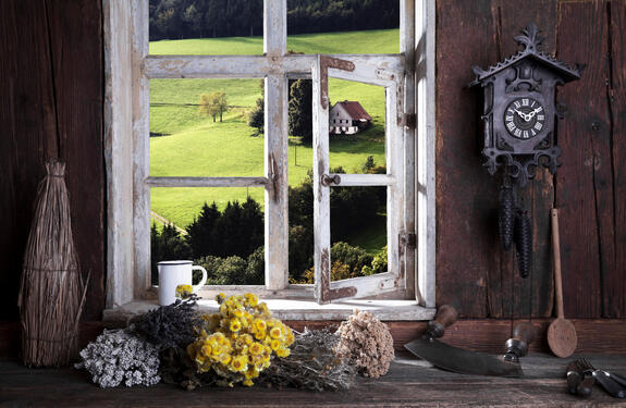  farmhouse room with a view through the window