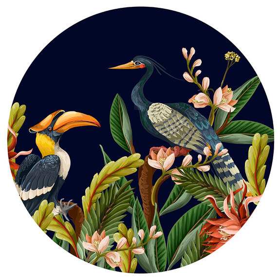 Illustration avec des oiseaux exotiques