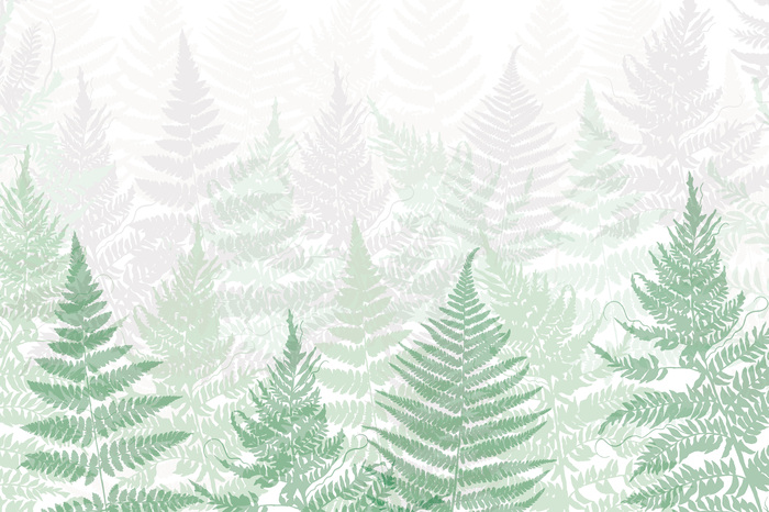 Forêt de fougères de couleur verte