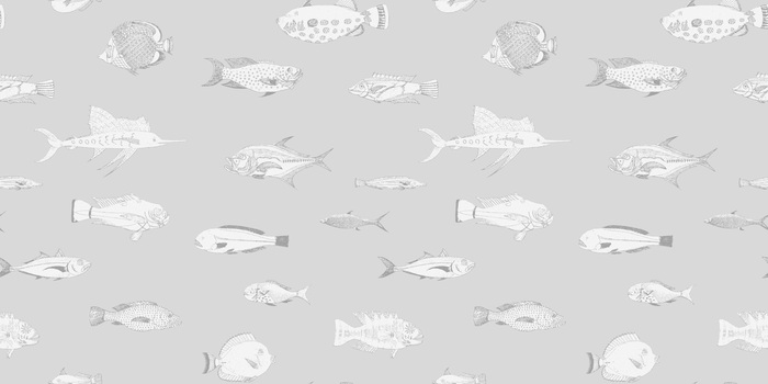 Banc de poissons en gris