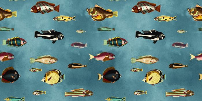 Poisson dans l'océan