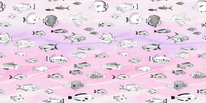 Poisson sur fond rose