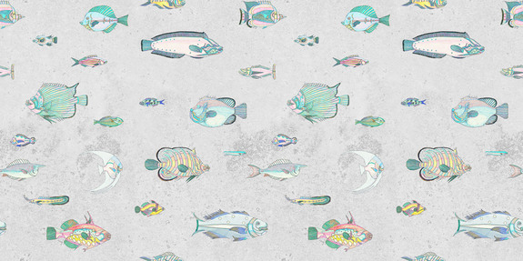 Fond de poisson gris