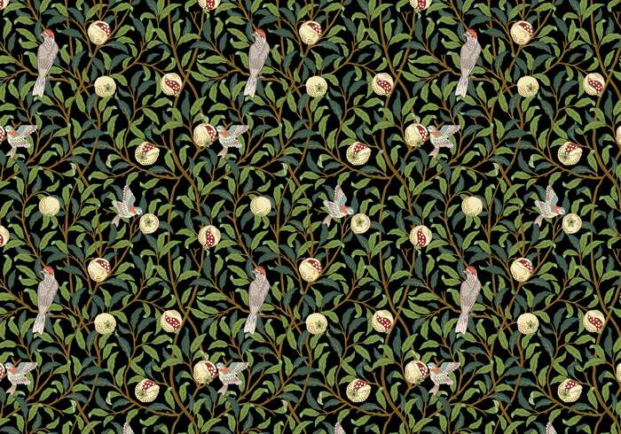 Oiseaux dans une haie