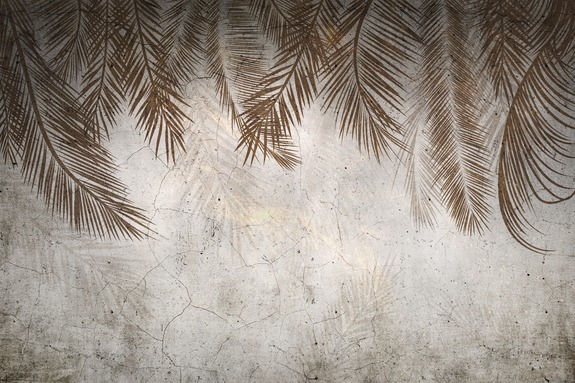 Grandes feuilles de palmier tropicales sur fond en béton