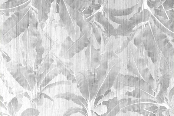 Bananiers tropicaux aux nuances de gris