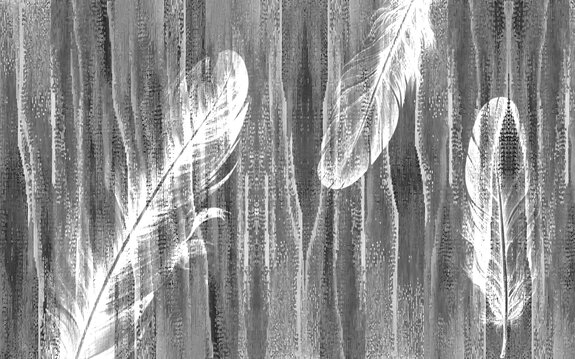Plumes sur fond texturé gris