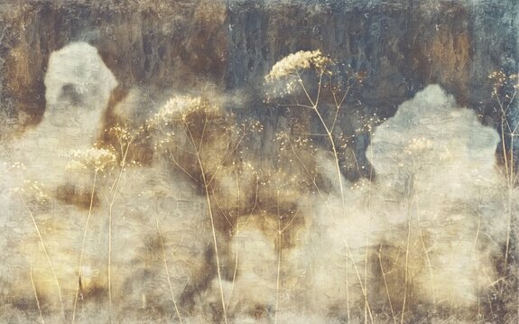 Fleurs sauvages et plantes sauvages sur un fond de style loft en béton