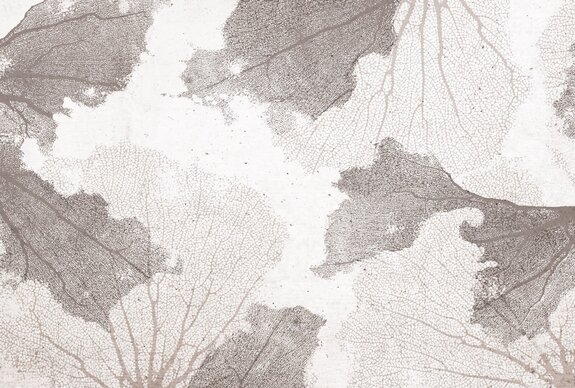 Coraux beiges sur fond texturé