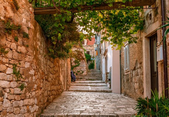 Architecture sur une rue en pierre avec des plantes vertes