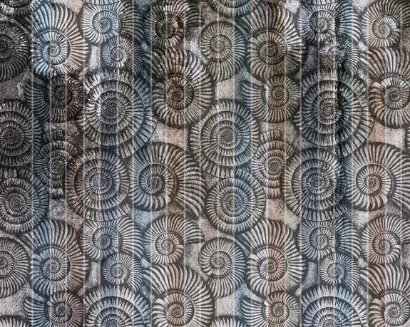 Motif coquillages effet béton